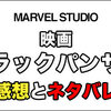 映画ブラックパンサー感想とネタバレ！小ネタなども解説