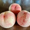 秋の収穫と奮闘