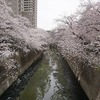 2022/03/29 さくら巡り2022 04 豊橋/駒塚橋/椿山荘前/大滝橋/一休橋/江戸川橋駅前/江戸川橋駅