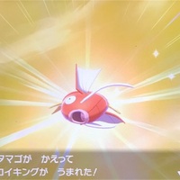 ポケモン剣盾プレイ日記その33 リオルの色違いゲット 何体目で出た 始めるまでの準備が面倒くさかったです あきののんびりゲームブログ