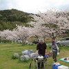 花見＆ＢＢＱ＆サイクリング＆鳥見