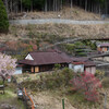 春の十津川周辺集落の様子とユーチューブ