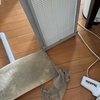 【引っ越し】今日の汚掃除【実家】
