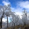 丹沢山登山と霧氷！丹沢三峰縦走ルート( 太礼ノ頭・円山木ノ頭・本間ノ頭)