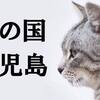 ニャンとも鹿児島は猫の国。『世界ネコ歩き』写真展を見にいくんだニャ！【動物写真家・岩合光昭】
