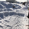 雪の中から原木を出す