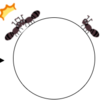 Educational Codeforces Round #10-F : Ants on a Circle