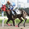 12/26(木) 大井競馬予想