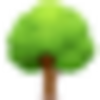 懐かしい写真