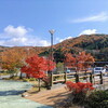 道の駅　信州平谷【つるすべ温泉と桜肉】