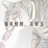毎年恒例、お年玉