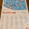 公園で開催されたWoodland Art Fairへ