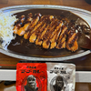 赤い辛口バージョンの宇都宮ズーズーカレーで汗ダーダー