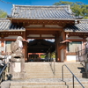 奈良の大仏の近くにある氷室神社にペットと一緒に参拝