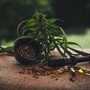 My Top Three Reasons Why CBD Is Healthy