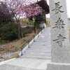 長楽寺 桜植樹ボランティア