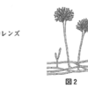 光学顕微鏡の使い方（２０１８年埼玉）（２０１２年埼玉）