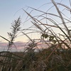 2024年が終わる一日前に想うこと。