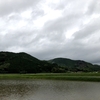 雨に唄えば🎵