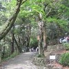 勝俣部長の「高尾登山と健康体質作り」６４２････なま　あったかい　水が