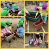 ✿花の苗を植えたよ✿ 年長 