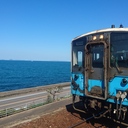 青い鳥が駅メモを頑張るやつ