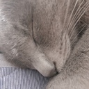 たくまふ