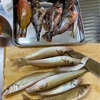ファミリーフィッシング🐟