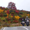 スカイラインの紅葉はどうですか？