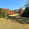 小春日和のんびり⛳