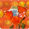  Brian Wilson「That Lucky Old Sun」