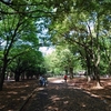代々木公園に関する雑学！