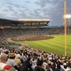 今年の甲子園球場