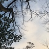 貴方の道は