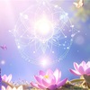 行為者はいない⭐︎すべてはただ起こっている」ラメッシ・バルセカールの言葉