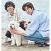 ドラマ『初恋DOGs』(2025)全10話 ネタバレあり感想