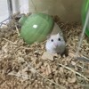 つぶあん2日目