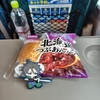 初めての一人旅①【出発編】