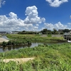 恩田川から鶴見川へ川の辺を散策（町田・横浜青葉、緑）