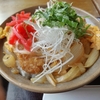 『居酒屋新幹線』ネタ（6）－凍みっぱなし丼