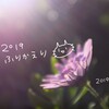 ざっくり2019年の振り返り