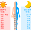 ぎっくり腰の日常生活での予防法～自律神経が重要