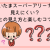 さいたまスーパーアリーナは見えにくい？座席ごとの見え方と楽しむコツまとめ
