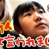 11月22日の動画