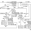 5 ミュウツーに起因する各地への影響とそれらを取り巻く人々 Unripe