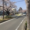 清洲城近辺の桜さいてます