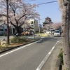 清洲城近辺の桜さいてます