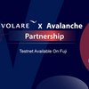 Volare FinanceはDCGやAva Labsなどのファンドから600万ドル以上を資金調達