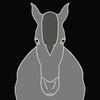 【追い切り注目馬（先週の回顧）】【リゲルS】他　2024/12/7(土) 中山・京都・中京競馬　輸送か、ワンターンか