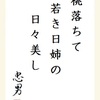 桃落ちて若き日姉の日々美し